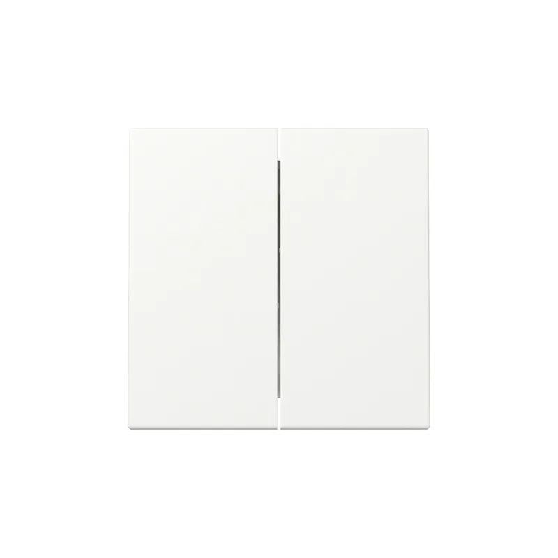 Gira Wippe 329527 2f Sys.55 rws m