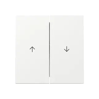 Gira Wippe 329470 2f Pfeil FL RW