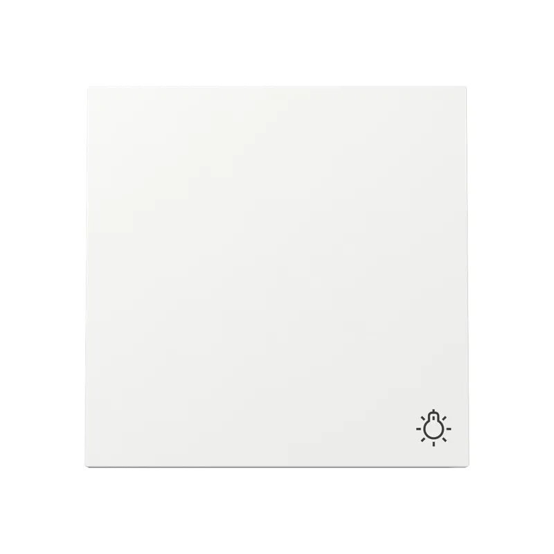 Gira Wippe 328570 Sym.Licht FL RW