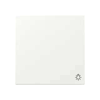 Gira Wippe 328570 Sym.Licht FL RW