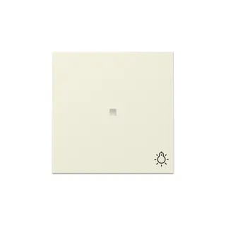 Gira Wippe 367401 Kontrollf.+Symb.Licht Sys.55 cws