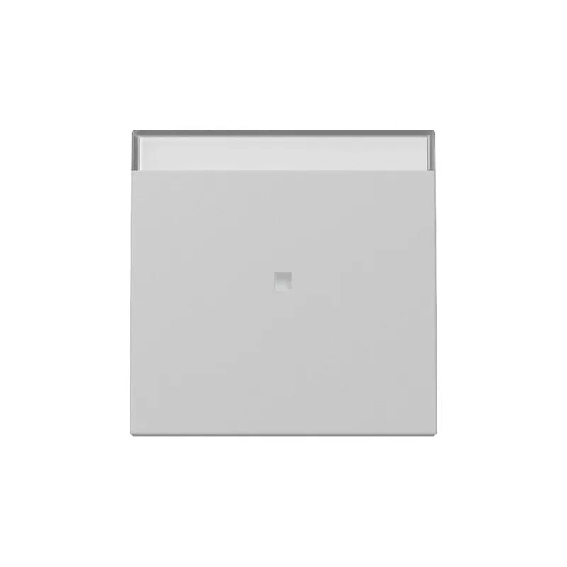 Gira Wippe 3670015 Kontrollf.+BSF Sys.55 gr m