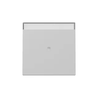Gira Wippe 3670015 Kontrollf.+BSF Sys.55 gr m