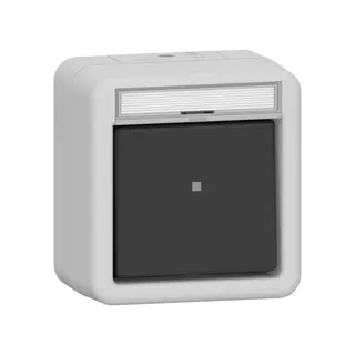 Gira Wippschalter 311230 Kontroll Aus 2-p BSF WG AP gr