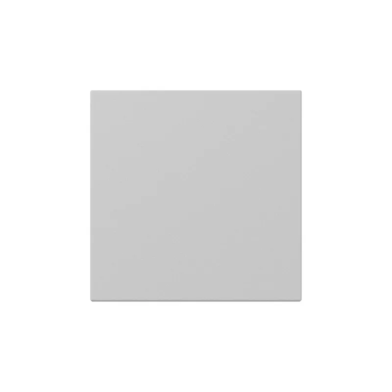 Gira Wippe 3496015 gerade Sys.55 gr m