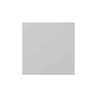 Gira Wippe 3496015 gerade Sys.55 gr m