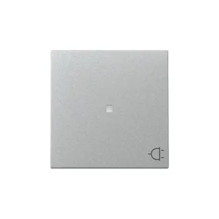 Gira Wippe Kontrollf.+Symb.Steckd.Sys.55 F Alu