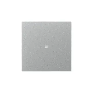 Gira Wippe 349026 gerade Kontrollf.Sys.55 F Alu