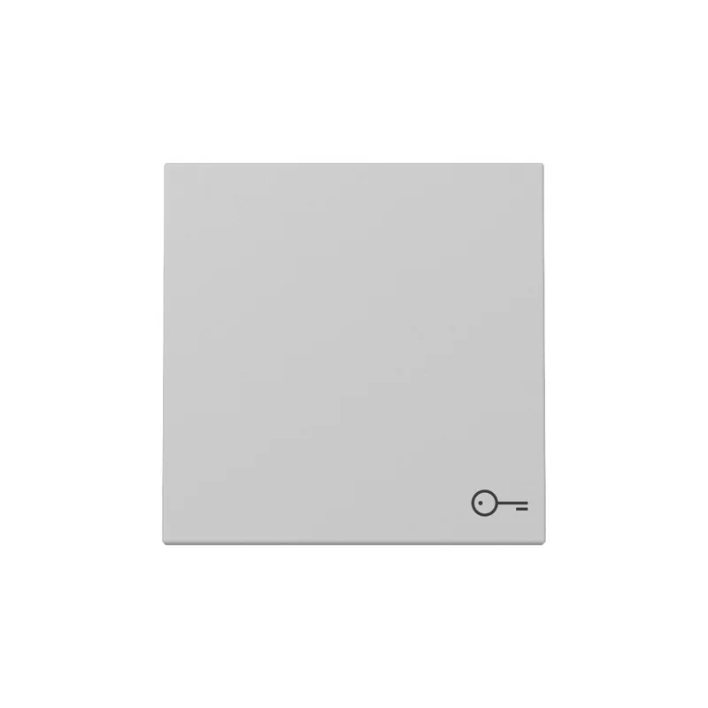Gira Wippe 3287015 Symb.Tür Sys.55 gr m