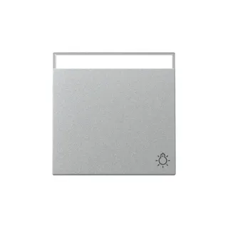 Gira Wippe 367326 Symb.Klingel+BSF Sys.55 F Alu