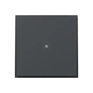Gira Wippe 349067 gerade Kontrollf.TX44 anthr