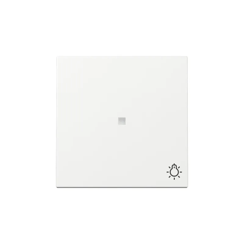 Gira Wippe 367403 Kontrollf.+Symb.Licht Sys.55 rws