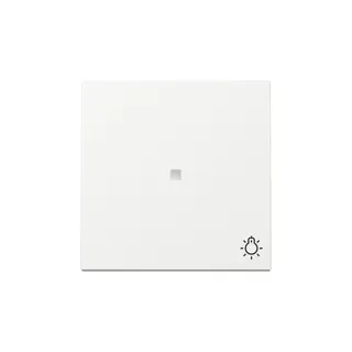Gira Wippe 367403 Kontrollf.+Symb.Licht Sys.55 rws