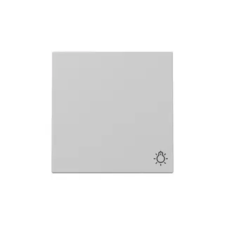 Gira Wippe 3285015 Symb.Licht Sys.55 gr m