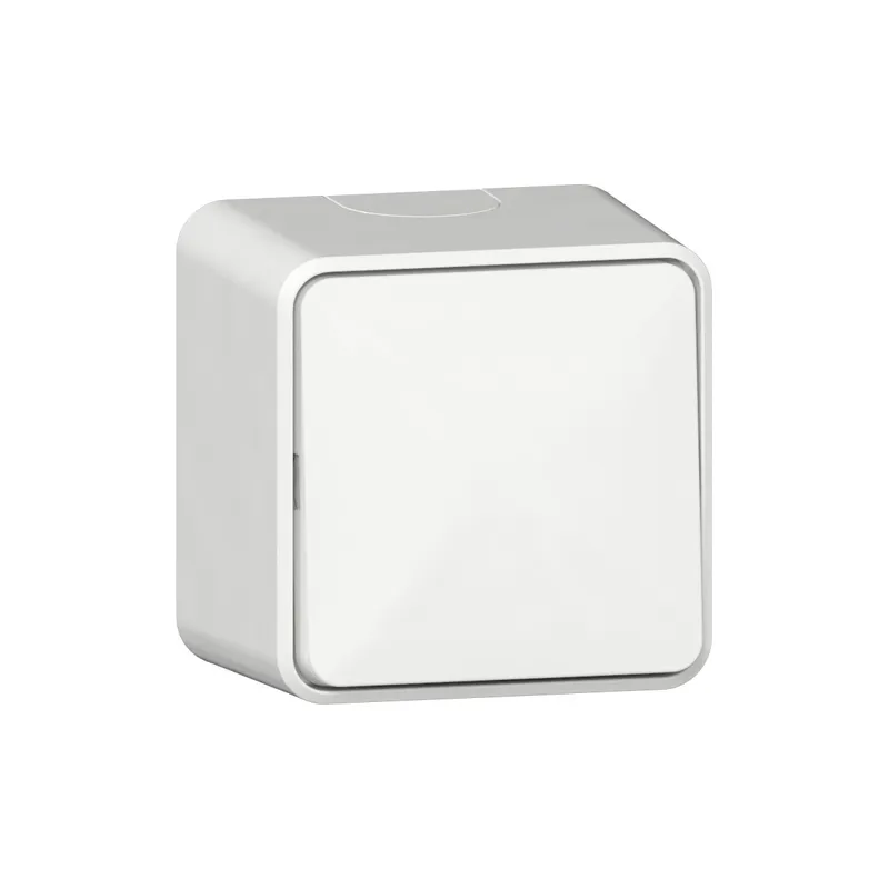 Gira Wippschalter 310613 AusWe AP rws