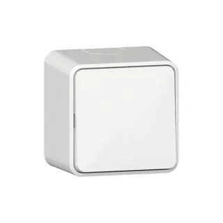 Gira Wippschalter 310613 AusWe AP rws