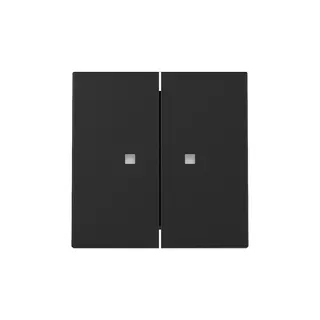 Gira Wippe 3631005 2f Kontrollf.Sys.55 sw m