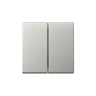 Gira Wippe 3295600 2f Sys.55 es