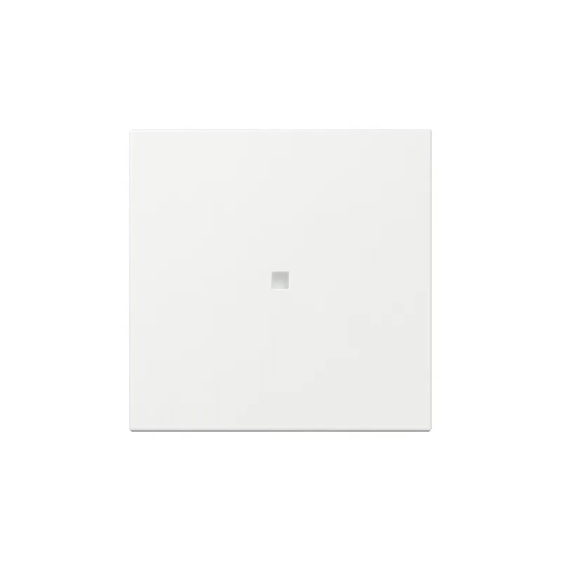 Gira Wippe 349003 gerade Kontrollf.Sys.55 rws