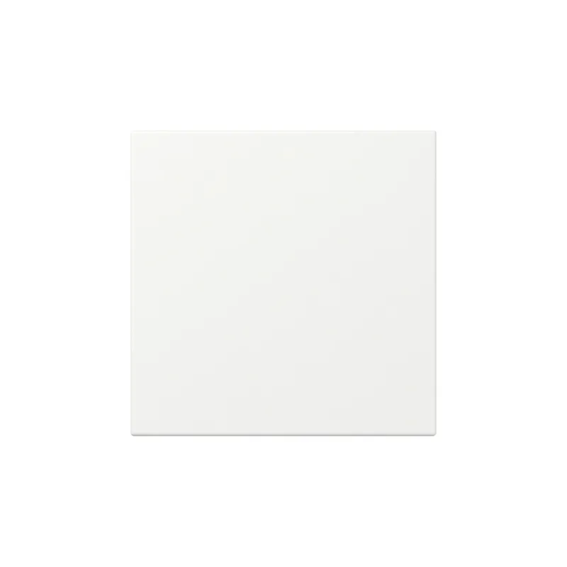 Gira Wippe 349627 gerade Sys.55 rws m