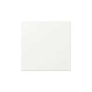 Gira Wippe 349627 gerade Sys.55 rws m