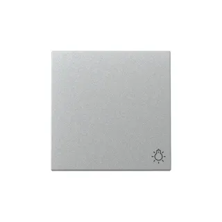 Gira Wippe 328526 Symb.Licht Sys.55 F Alu