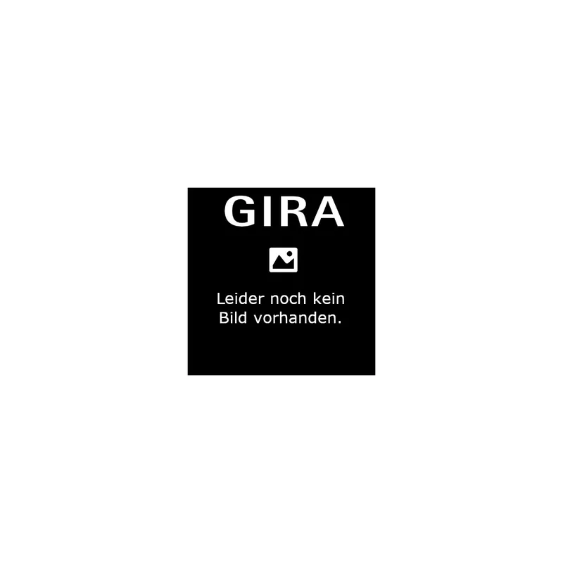 Gira Wipptaster 315811 Jal Pfeile K/P AP rws