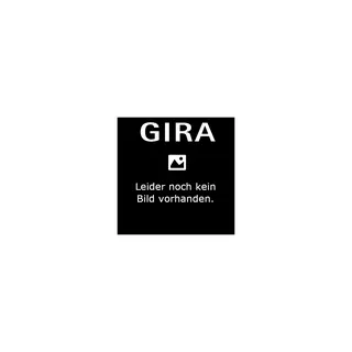 Gira Wipptaster 315811 Jal Pfeile K/P AP rws
