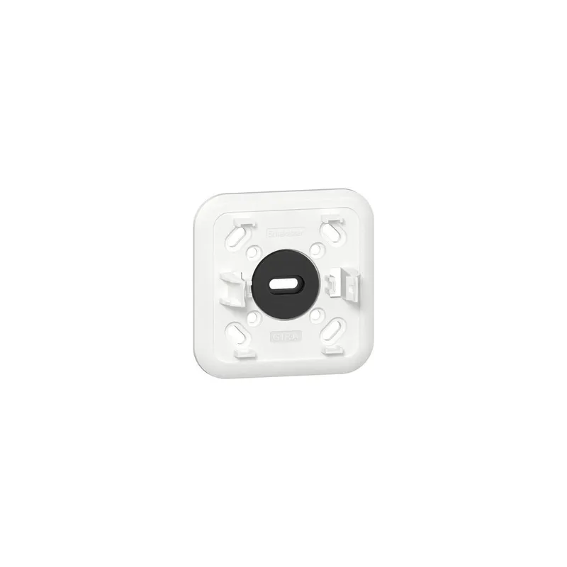Gira Montageplatte 305611 1f f.Adapter K/P f.Schalter AP rws