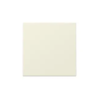 Gira Wippe 329601 Sys.55 cws