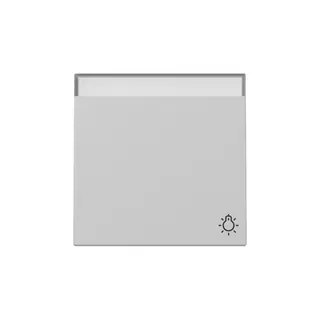 Gira Wippe 3673015 Symb.Klingel+BSF Sys.55 gr m