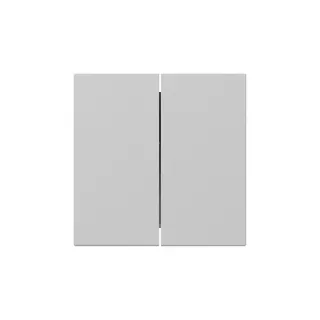 Gira Wippe 3495015 2f gerade Sys.55 gr m
