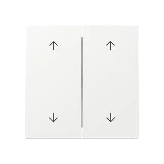 Gira Wippe 329770 2f Pfeile FL RW