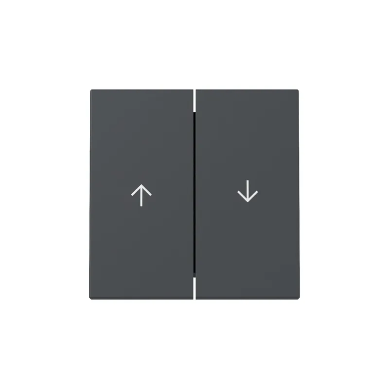 Gira Wippe 329428 2f Pfeil Sys.55 anthr