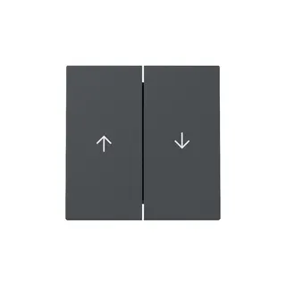 Gira Wippe 329428 2f Pfeil Sys.55 anthr