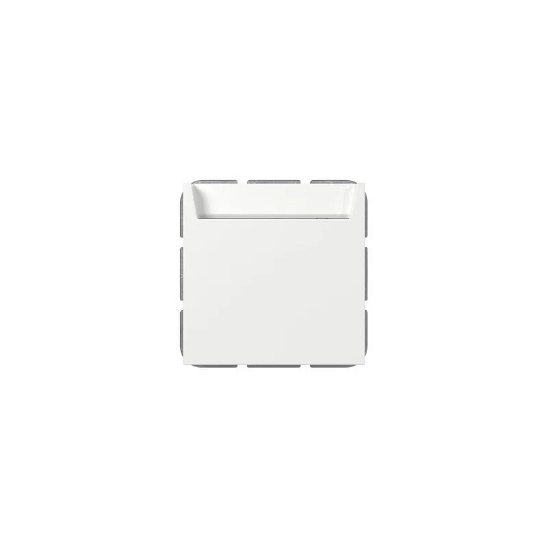 Gira Hotel Card Wechsler 314003 bel.BSF Sys.55 rws