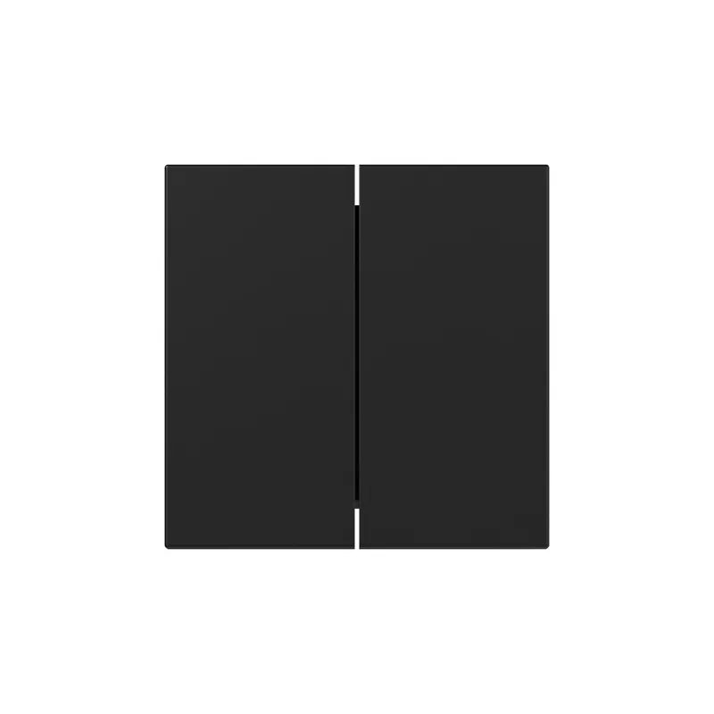 Gira Wippe 3495005 2f gerade Sys.55 sw m