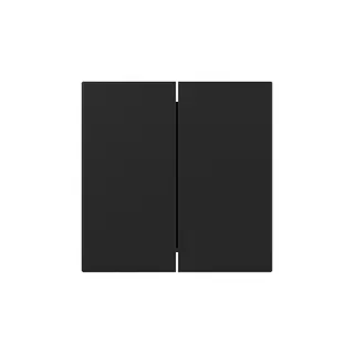 Gira Wippe 3495005 2f gerade Sys.55 sw m