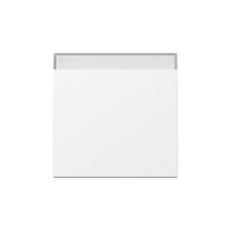 Gira Wippe 329903 BSF Sys.55 rws