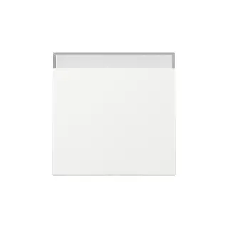 Gira Wippe 329903 BSF Sys.55 rws