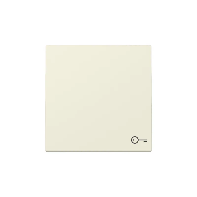 Gira Wippe 328701 Symb.Tür Sys.55 cws