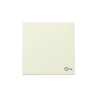 Gira Wippe 328701 Symb.Tür Sys.55 cws