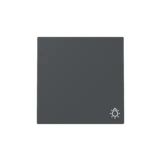 Gira Wippe 328528 Symb.Licht Sys.55 anthr