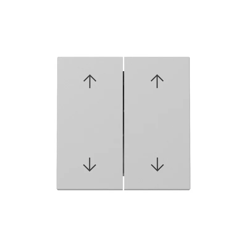 Gira Wippe 3297015 2f Pfeile Sys.55 gr m