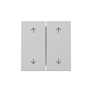 Gira Wippe 3297015 2f Pfeile Sys.55 gr m