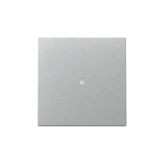 Gira Wippe 329026 Kontrollf.Sys.55 F Alu