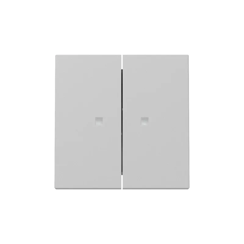 Gira Wippe 3631015 2f Kontrollf.Sys.55 gr m