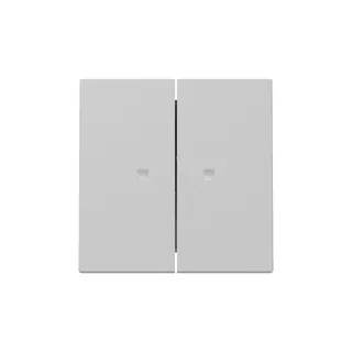 Gira Wippe 3631015 2f Kontrollf.Sys.55 gr m