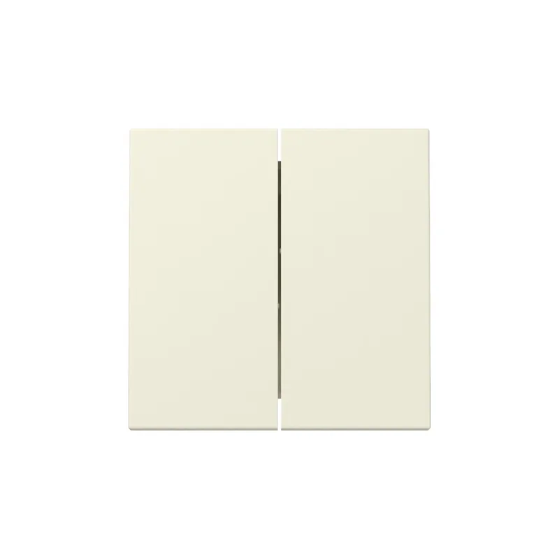 Gira Wippe 329501 2f Sys.55 cws
