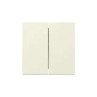 Gira Wippe 329501 2f Sys.55 cws